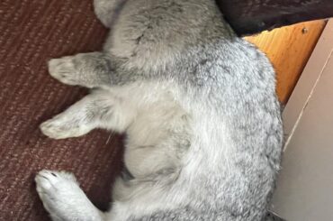 That's the spot