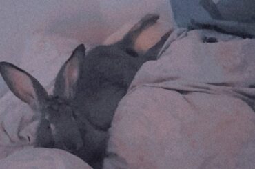 as long as you are comfy I guess