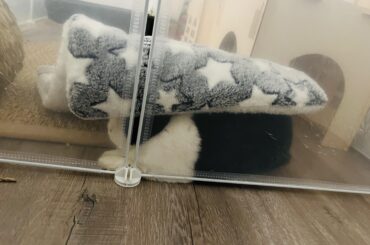 no you’re suppose to sleep on it not under it