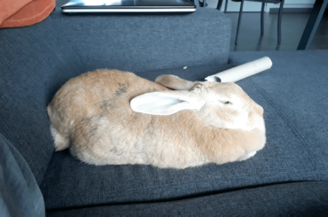 No, I wasn't falling asleep!