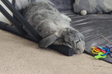 Comfy Piano Legs