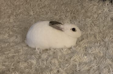 my little loaf 🥺🍞