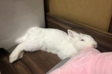 Sleeping