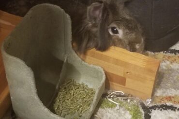 Comfortably wedged