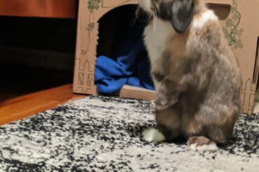 Mom. Why are you up there?