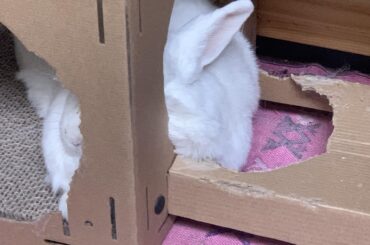 Comfortable…very comfortable