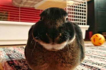 And another picture, when my boy was a baby. There's no difference. 😅❤️