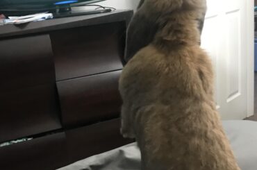 Hey, I was watching that.