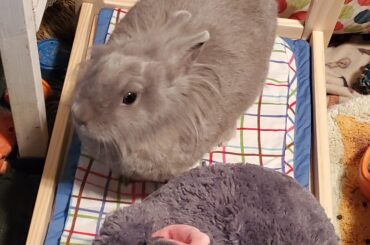 Loafing with her twin