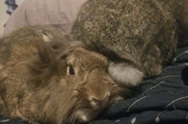 She let him just sit on the side of her face