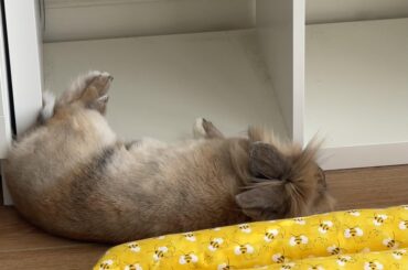 Flopped right out of the shelf