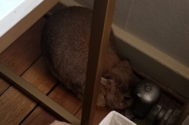 the radiator isn't even on so it's not like she's cold 😂😂