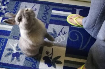 We never tried this one 😁