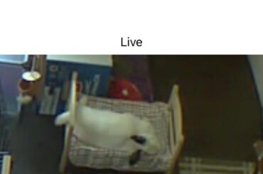 Using her bed the proper way