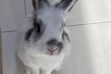 This is what I see when it is feeding time.