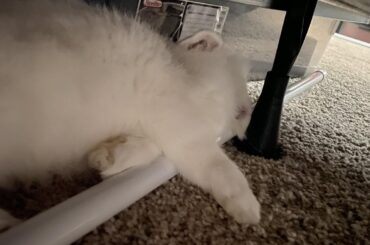 My little weirdo ❤️