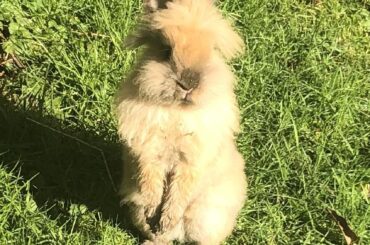 Fred enjoying the sunshine today