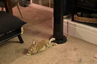 Staying cool in socal