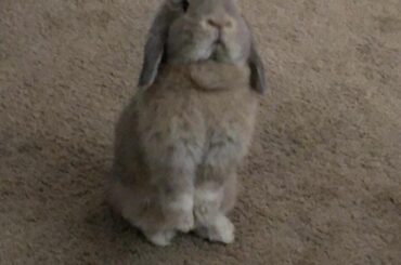 “Whatchu got up there?”