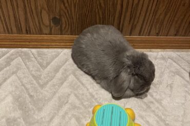 Loafin’ next to the bath tub