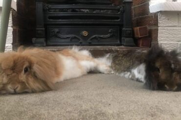 Deflated double noodle