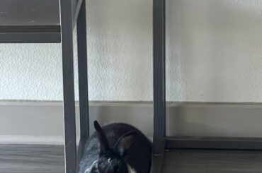 If she fits .. she sits ❤️