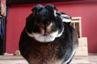 From the front 😂❤️