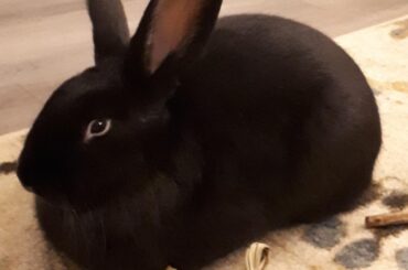 Built like a True Loaf