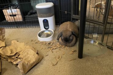 She sleeps amongst the destruction she has wrought!