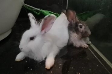 Found them huddled in a corner of the bathroom..