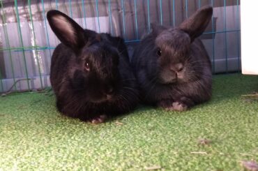 This has to be my favorite picture of my buns ever