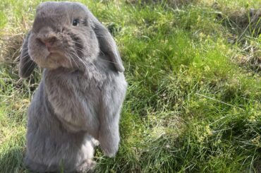 What cha up to? Jus’ checkin’