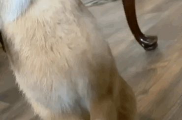 Look at those vicious bites!