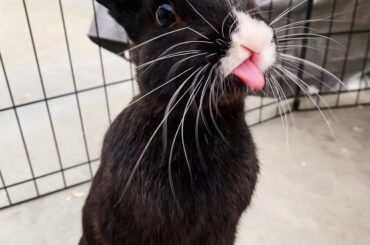 Catch me if you can!!!