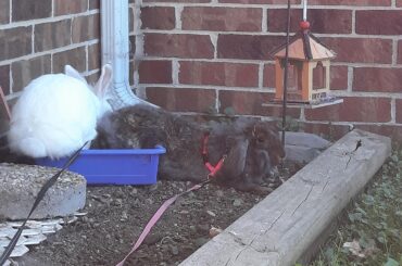 I don't get how this could be comfortable at all.