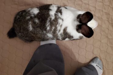 I was late for work because of this loaf. I didn't mind.