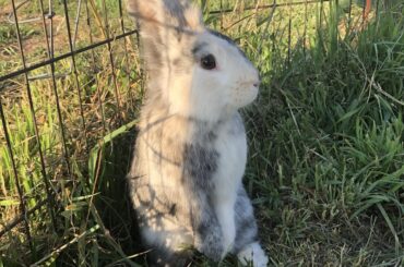 “DID YOU HEAR THAT???”