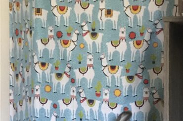 A loaf in her bedroom