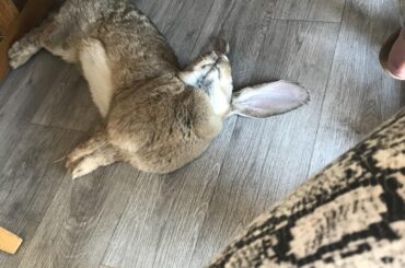 All pooped out from pooping