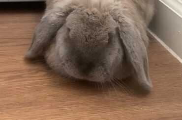 He loafs, and he loafs again