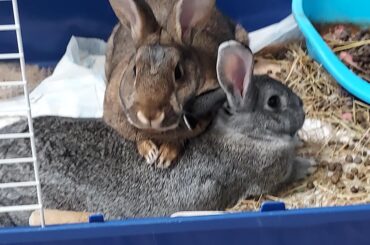Just leaning on my brother...