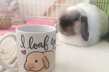 A cold day with a warm loaf