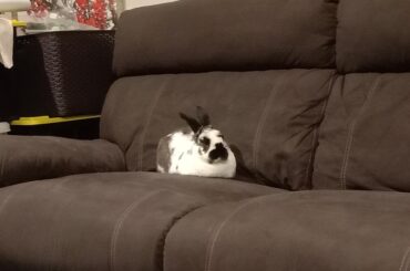 Really Buncomfortable