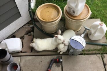 Chubby: Hmm yes let me grab my sister and lay on top of a hose and become comfy in a cramped space