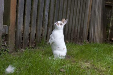 What's on the other side?