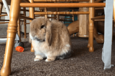 Thought the loaf at the end was appropriate here