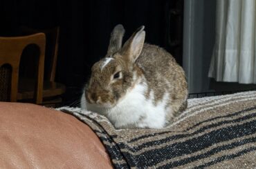 My favorite loaf 🥰