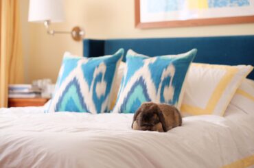 Interior design loaf