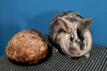 Appreciate thy loaf 🍞