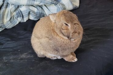 Is this supposed to happen?